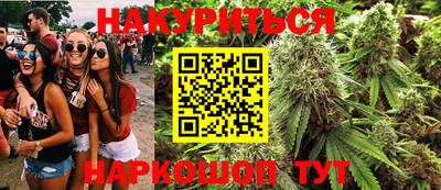 apvp Гатчина