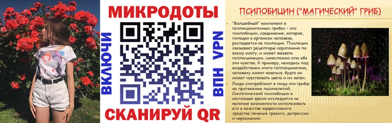 как найти закладки  Кузнецк  Псилоцибиновые грибы Psilocybine cubensis 