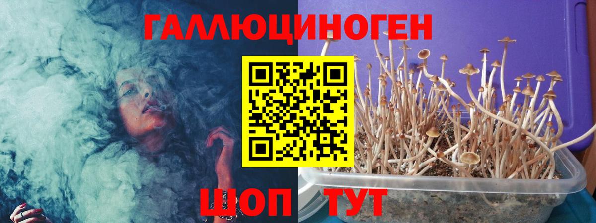 Кузнецк  Псилоцибиновые грибы Psilocybine cubensis  Псилоцибиновые грибы Magic Shrooms  Вход с VPN 