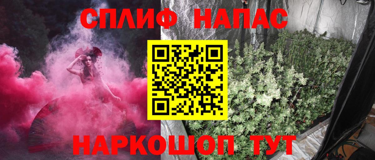 Бошки Шишки MAZAR Кузнецк